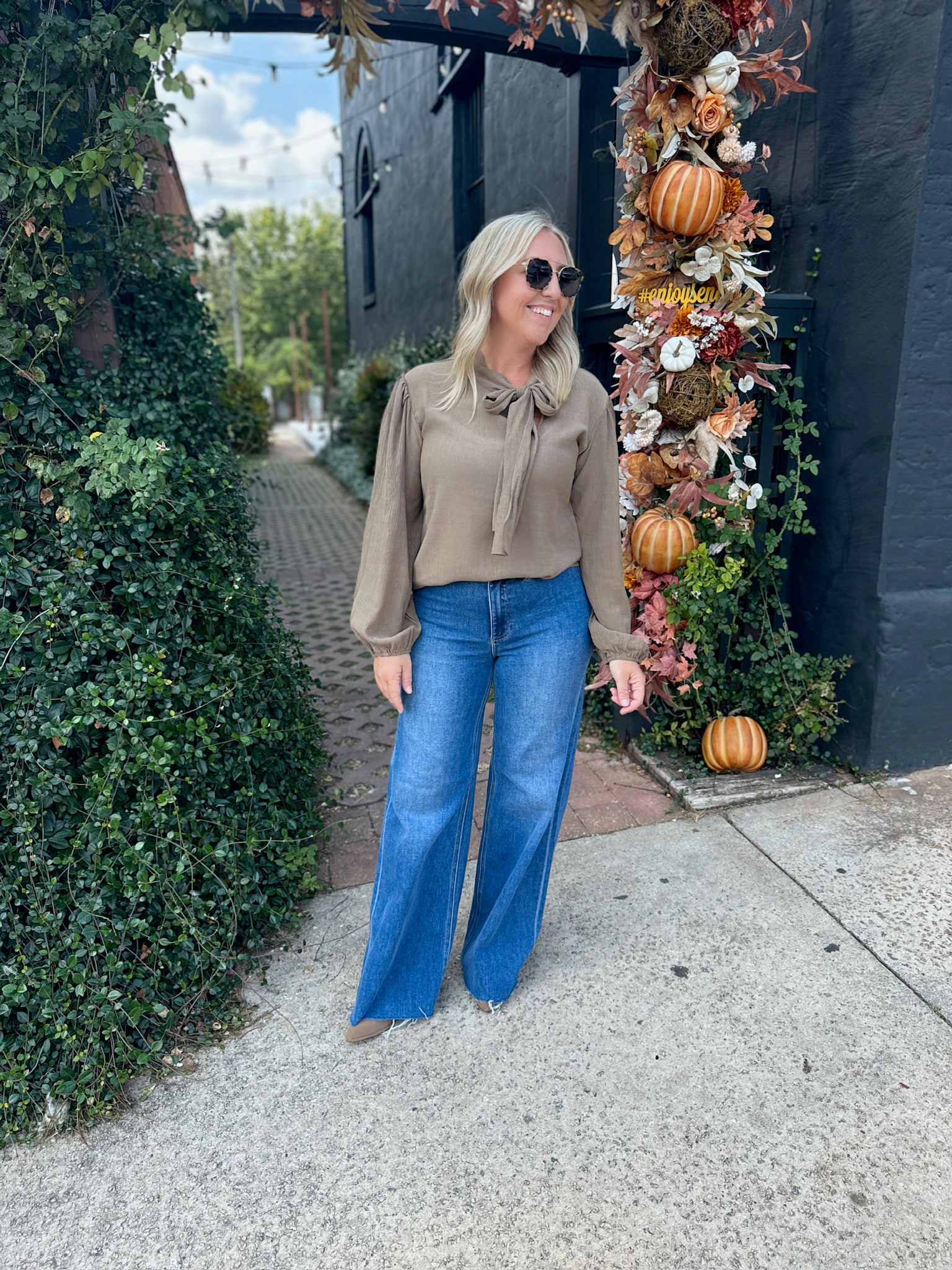 Work Day Classic Tie Neck Long Sleeve Blouse Top