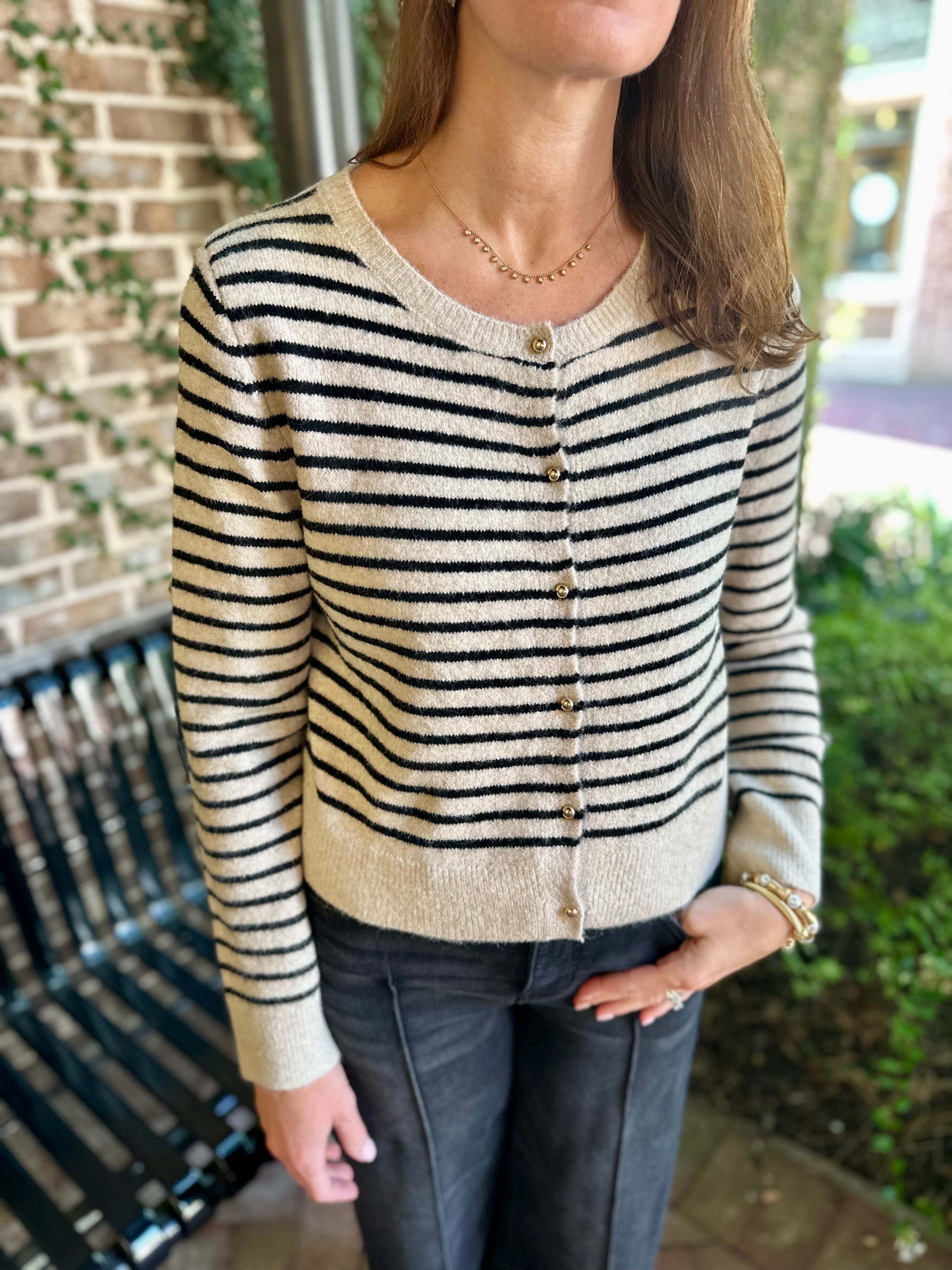 Palmer Striped Button-Up Knit Cardigan