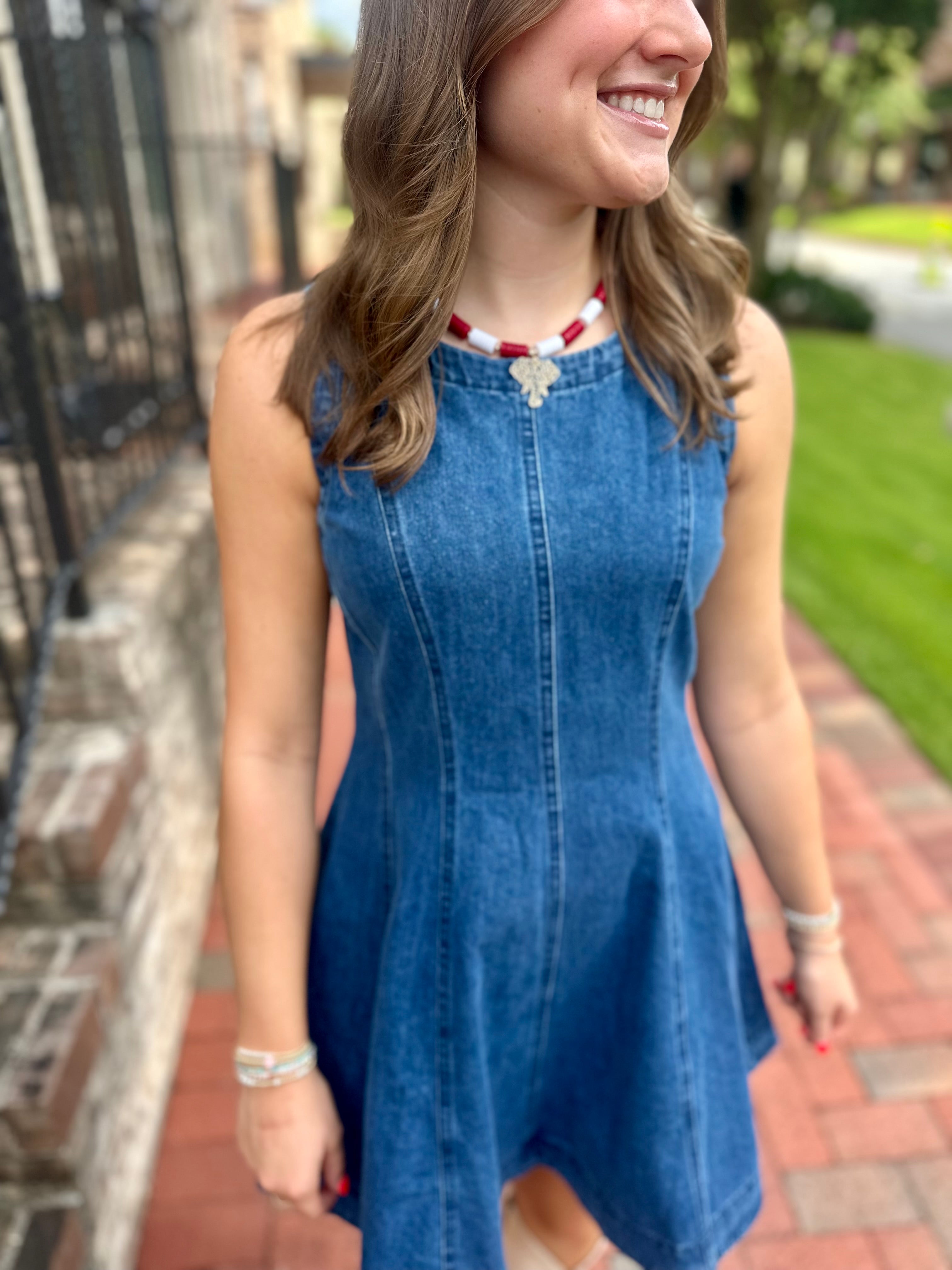 Southern Belle Denim Mini Dress