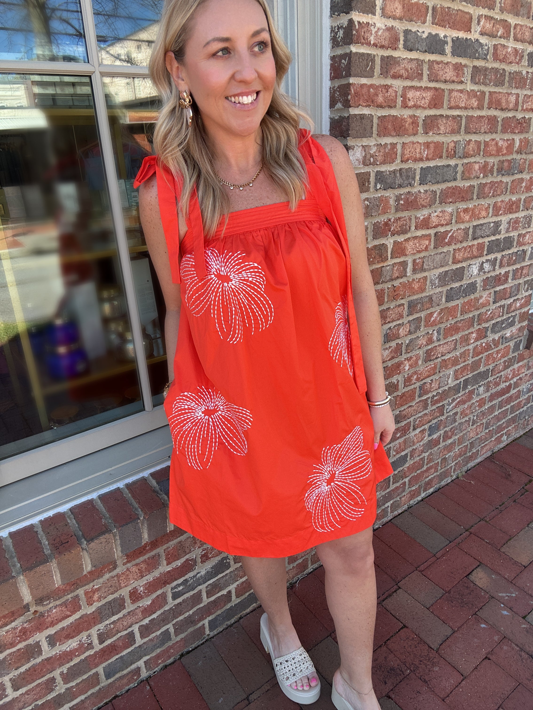 Golden Hour Embroidered Sleeveless Mini Dress