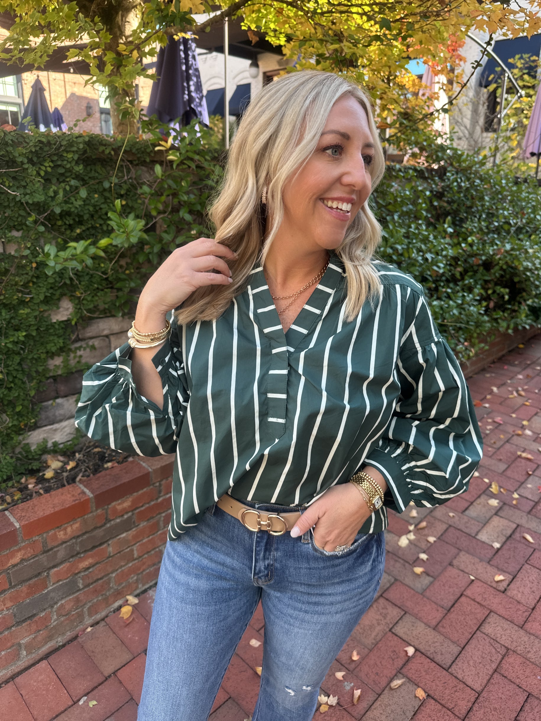 Crystal Pine Long Puff Sleeve V Neck Striped Top