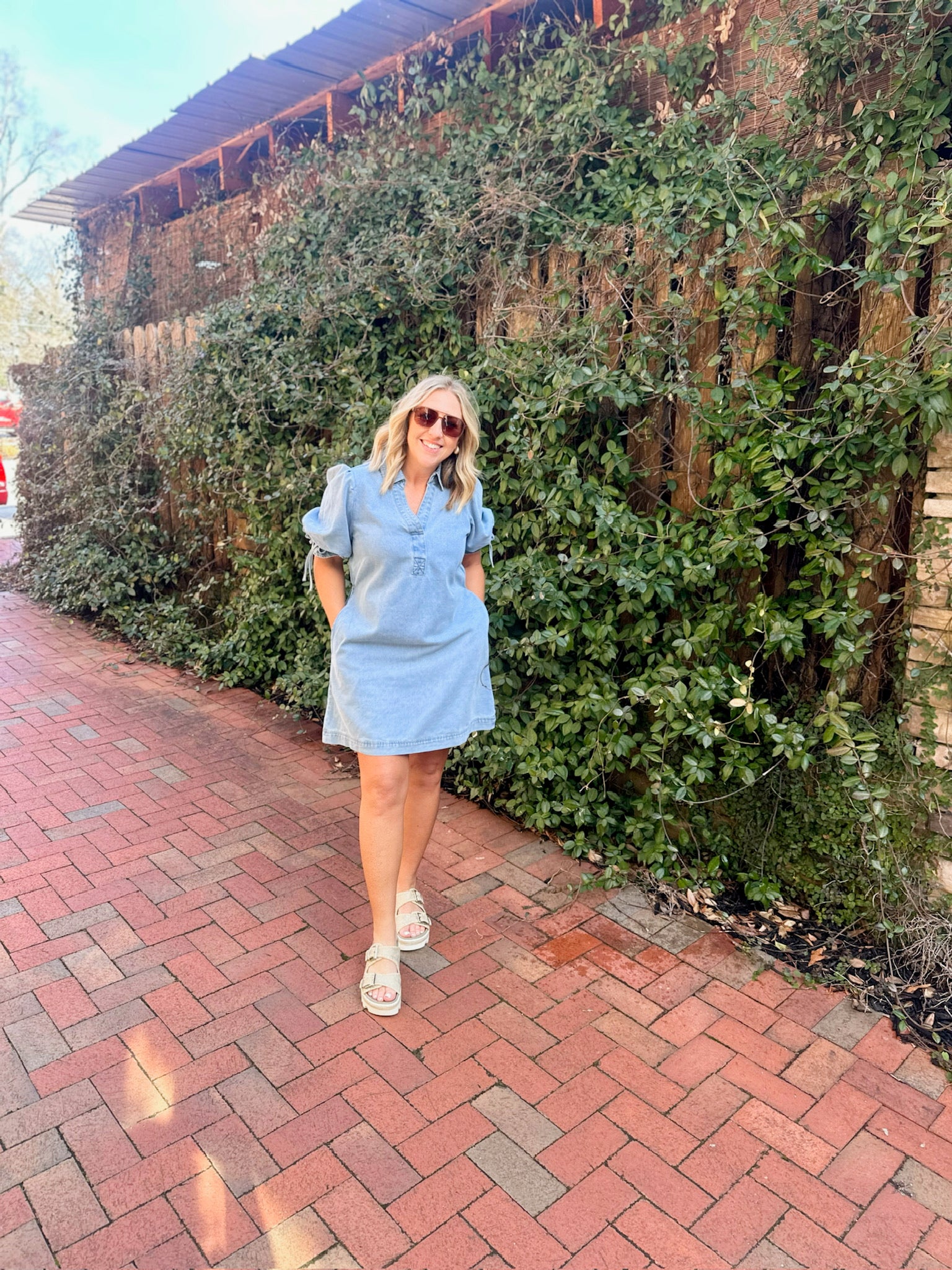 The Way You Are Puff Sleeve V Neck Denim Mini Dress