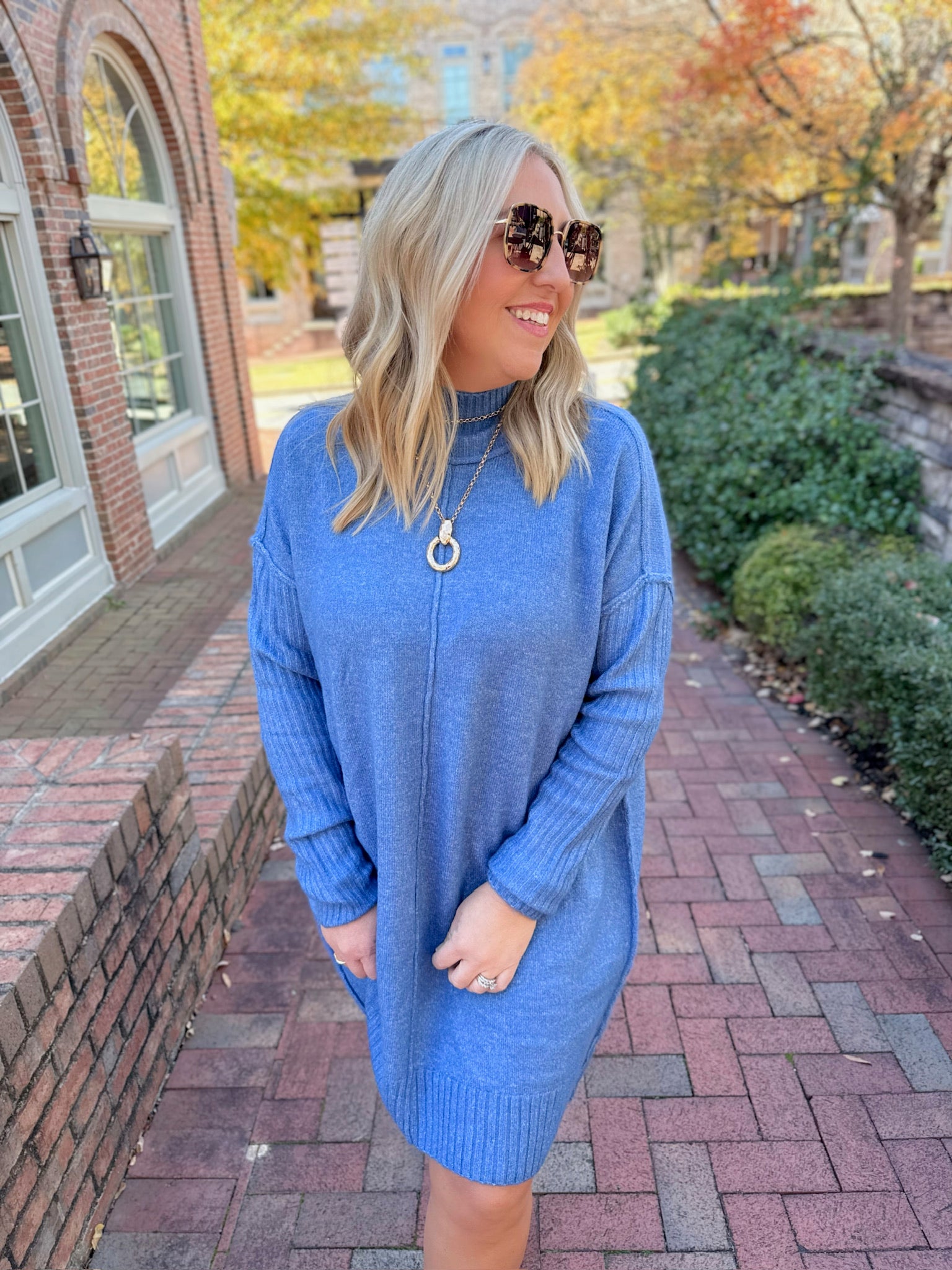 Winter Wonderland Turtle Neck Knit Dress in Blue