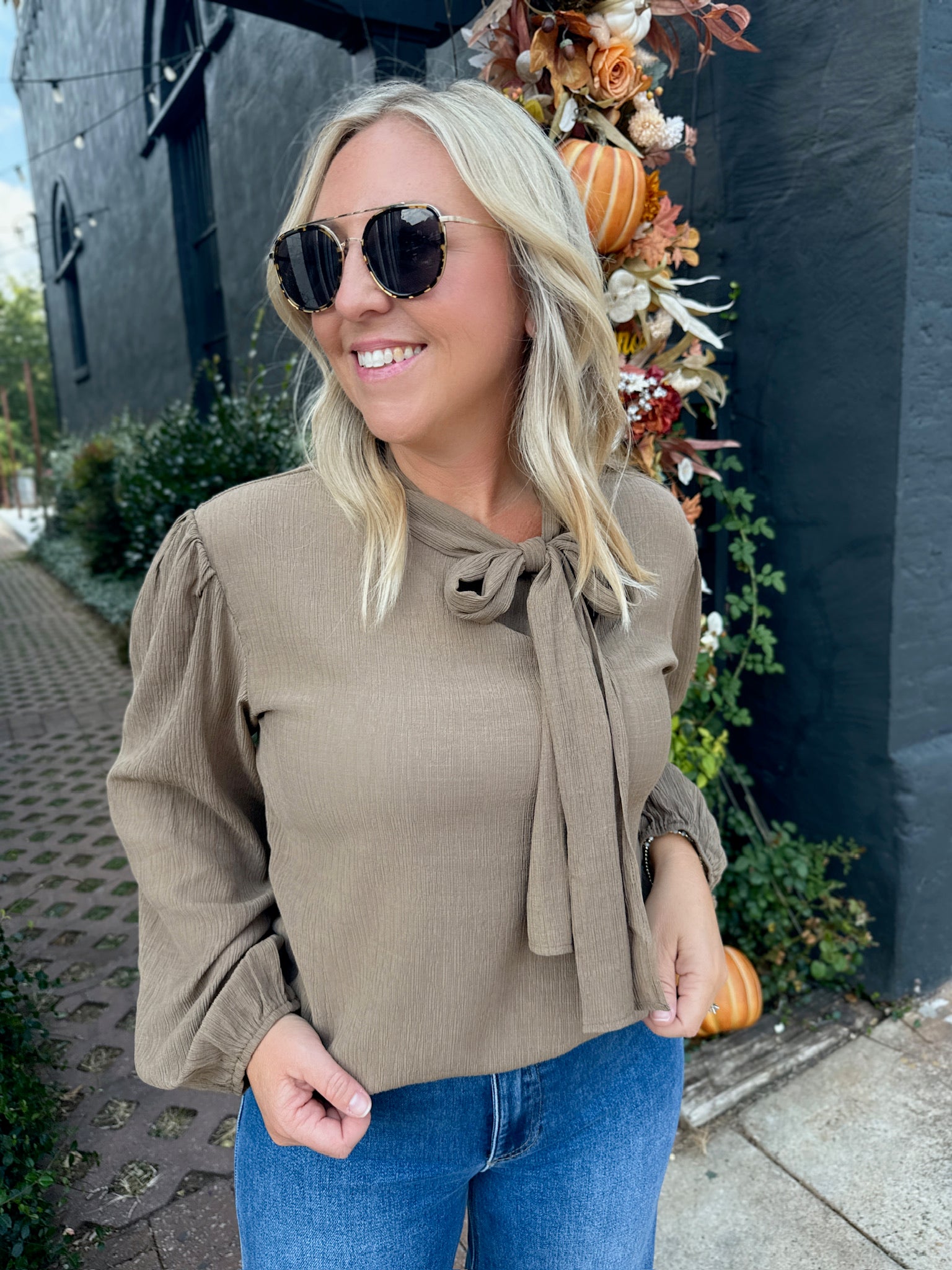 Work Day Classic Tie Neck Long Sleeve Blouse Top