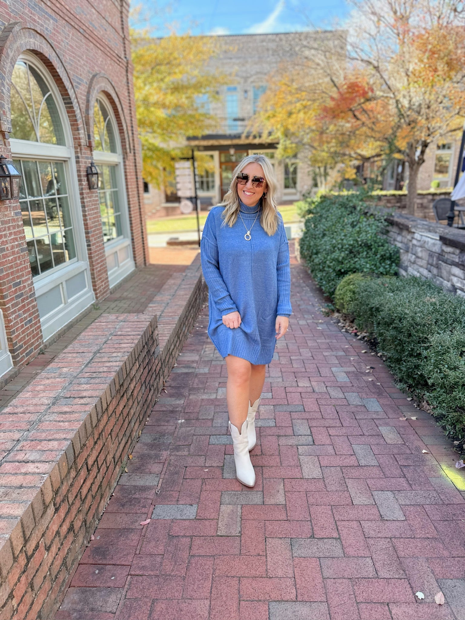 Winter Wonderland Turtle Neck Knit Dress in Blue
