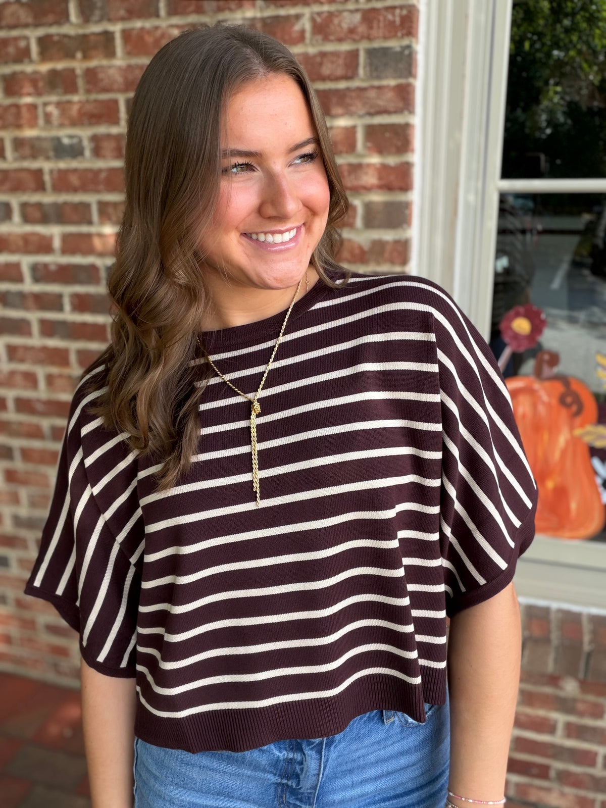 Finley Striped Short Sleeve Sweater - Brown