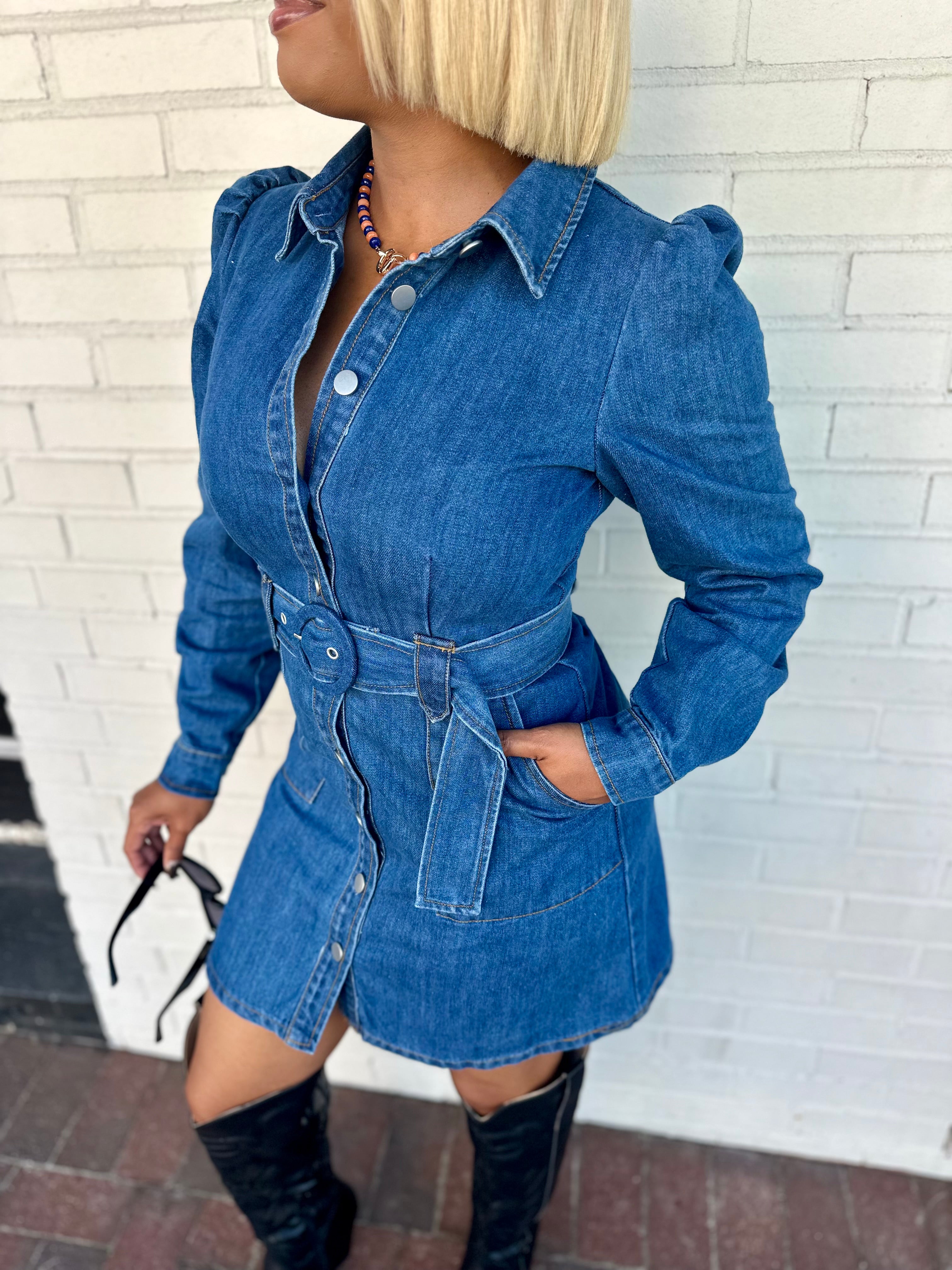 Tailgate Ready Denim Button Down Dress with Belt